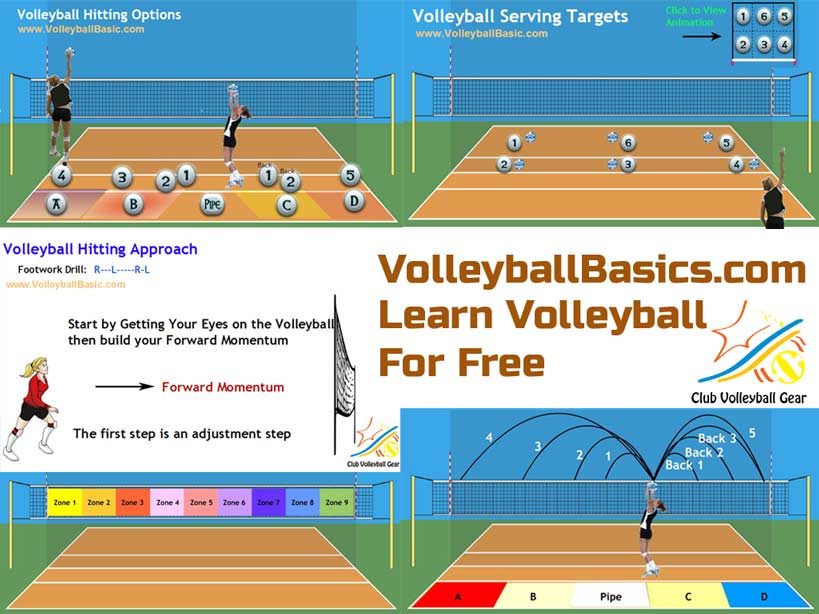 Volleyball Basics.